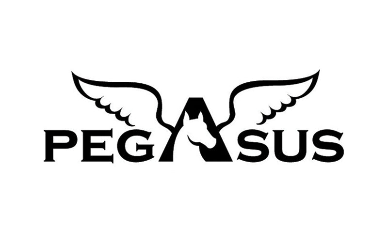 Pegasus logo