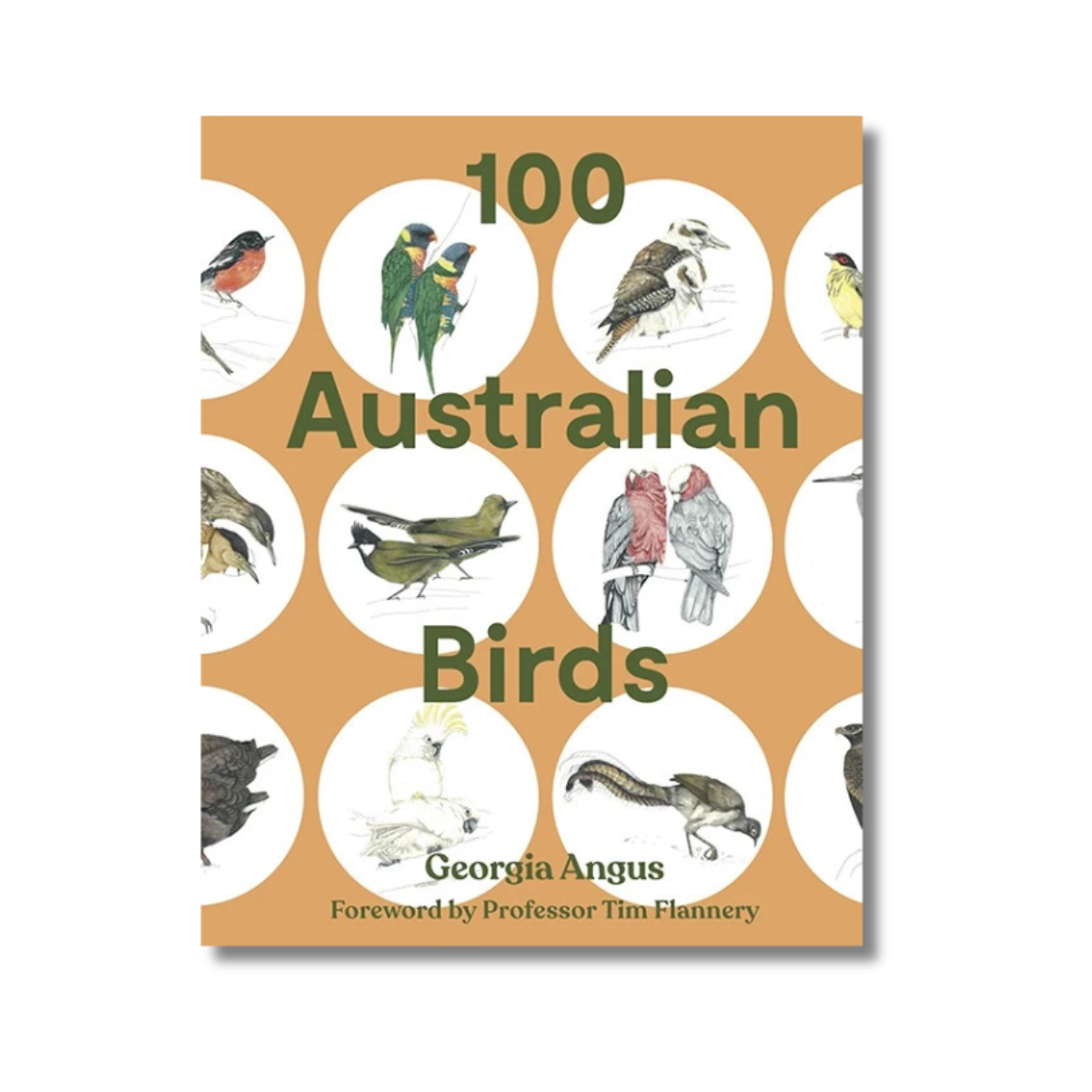 100 Australian Birds by Georgia Angus