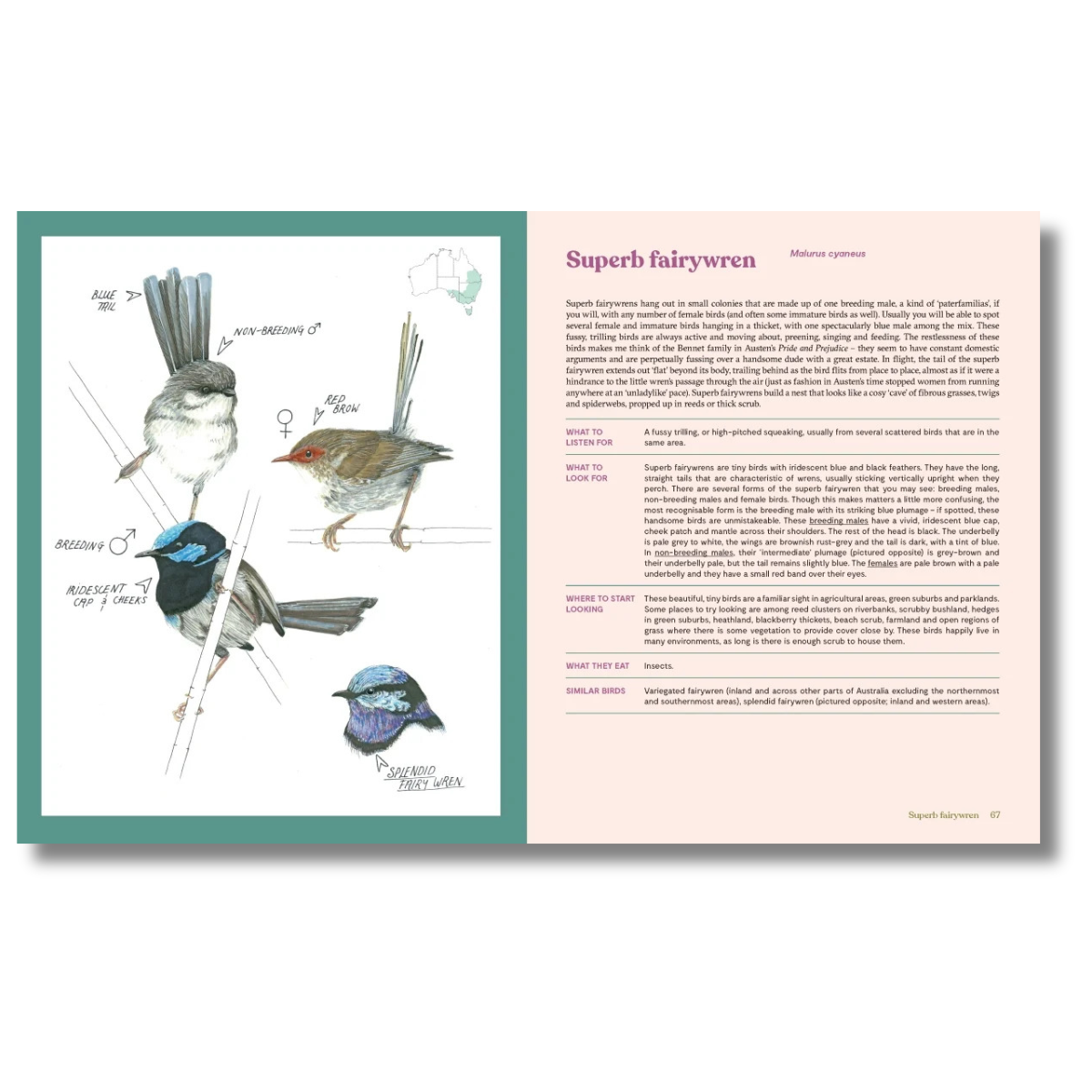 100 Australian Birds by Georgia Angus