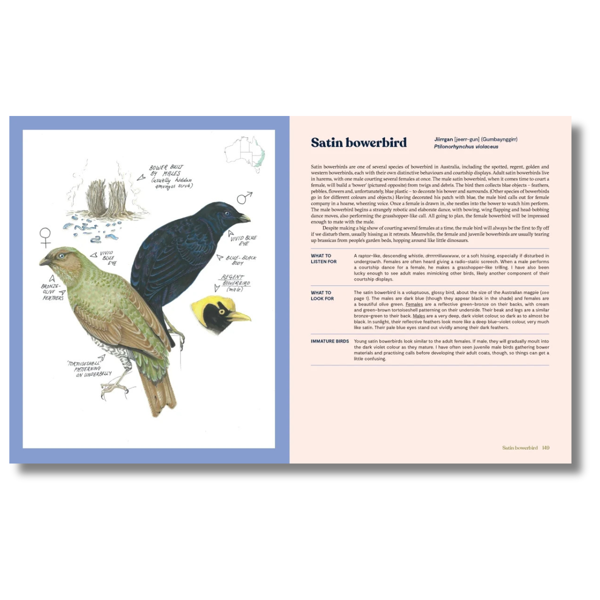 100 Australian Birds by Georgia Angus