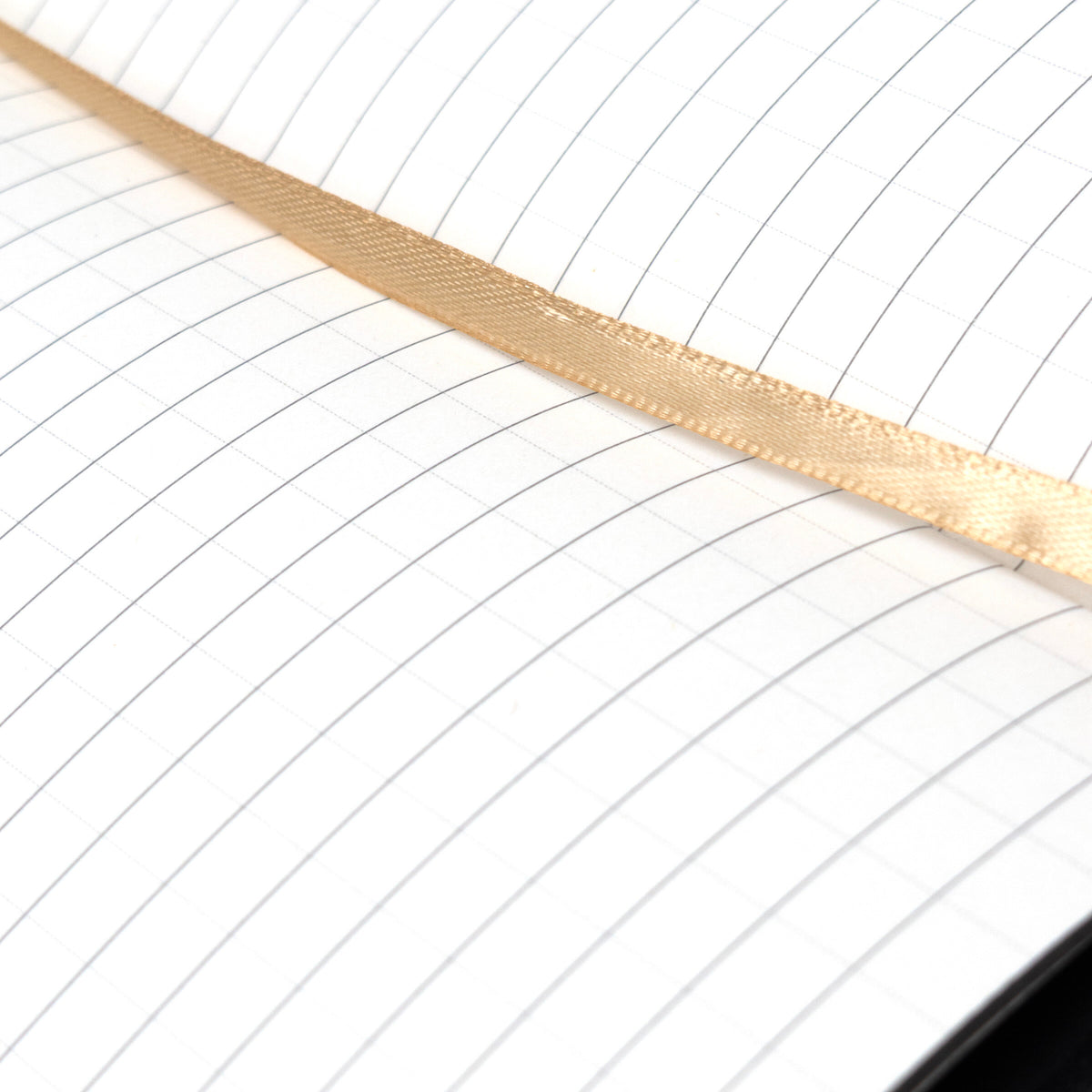 Close-up of a gold ribbon on a white background with lines