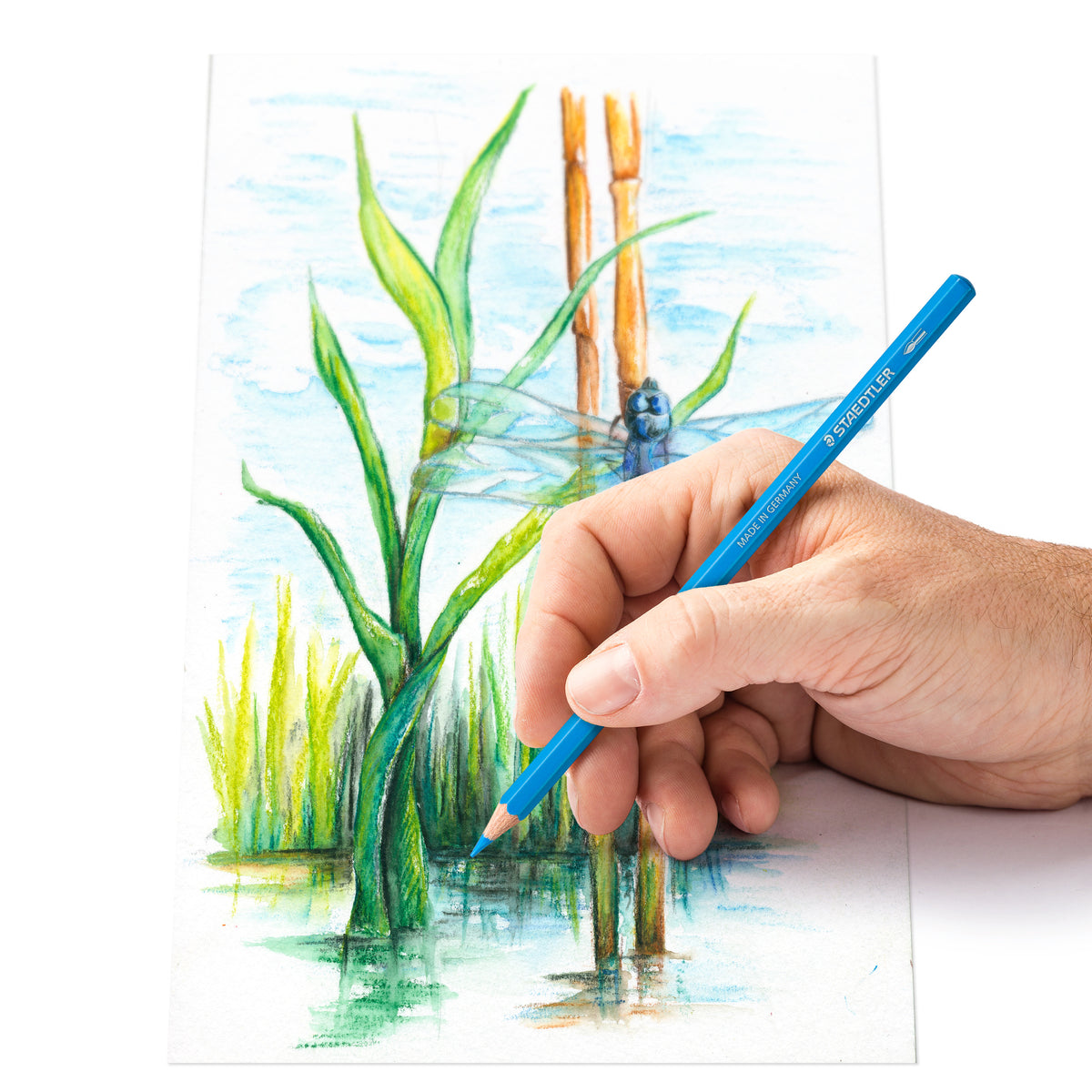 STAEDTLER Watercolour Pencils Set of 12