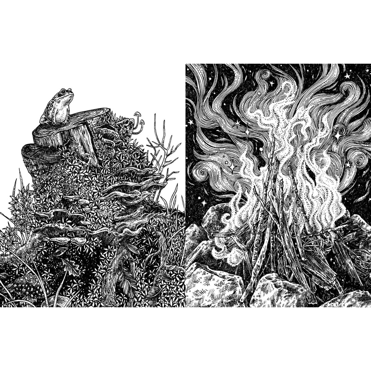 15-Minute Art Pen & Ink: Learn to Draw with Pen & Ink in Six Steps or Less by Anna Tromop
