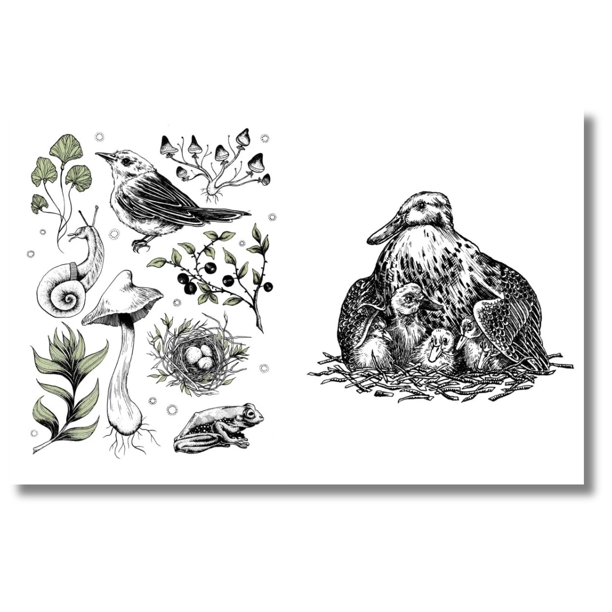 15-Minute Art Pen & Ink: Learn to Draw with Pen & Ink in Six Steps or Less by Anna Tromop