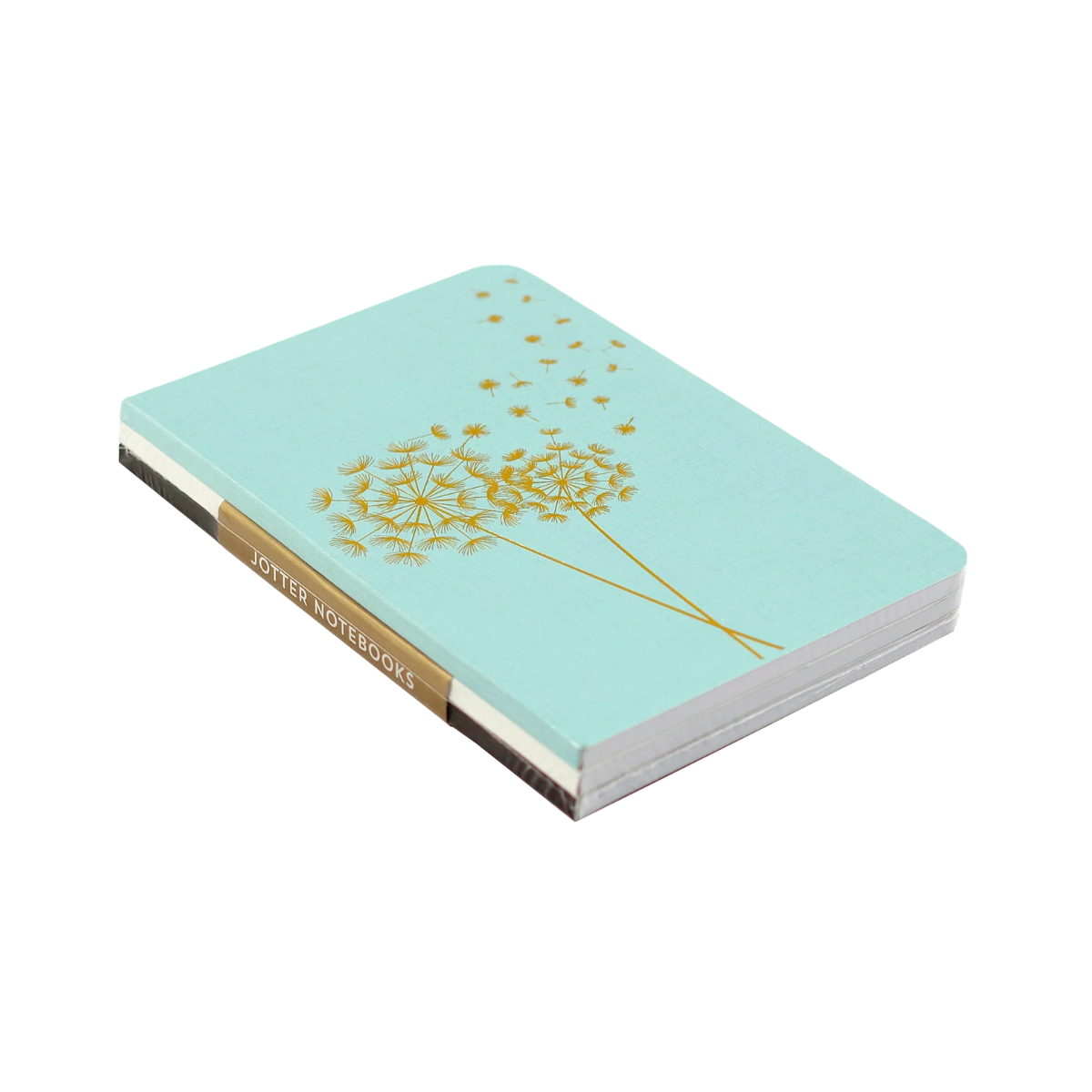 Jotter Mini Notebook Set - Dandelion Wishes