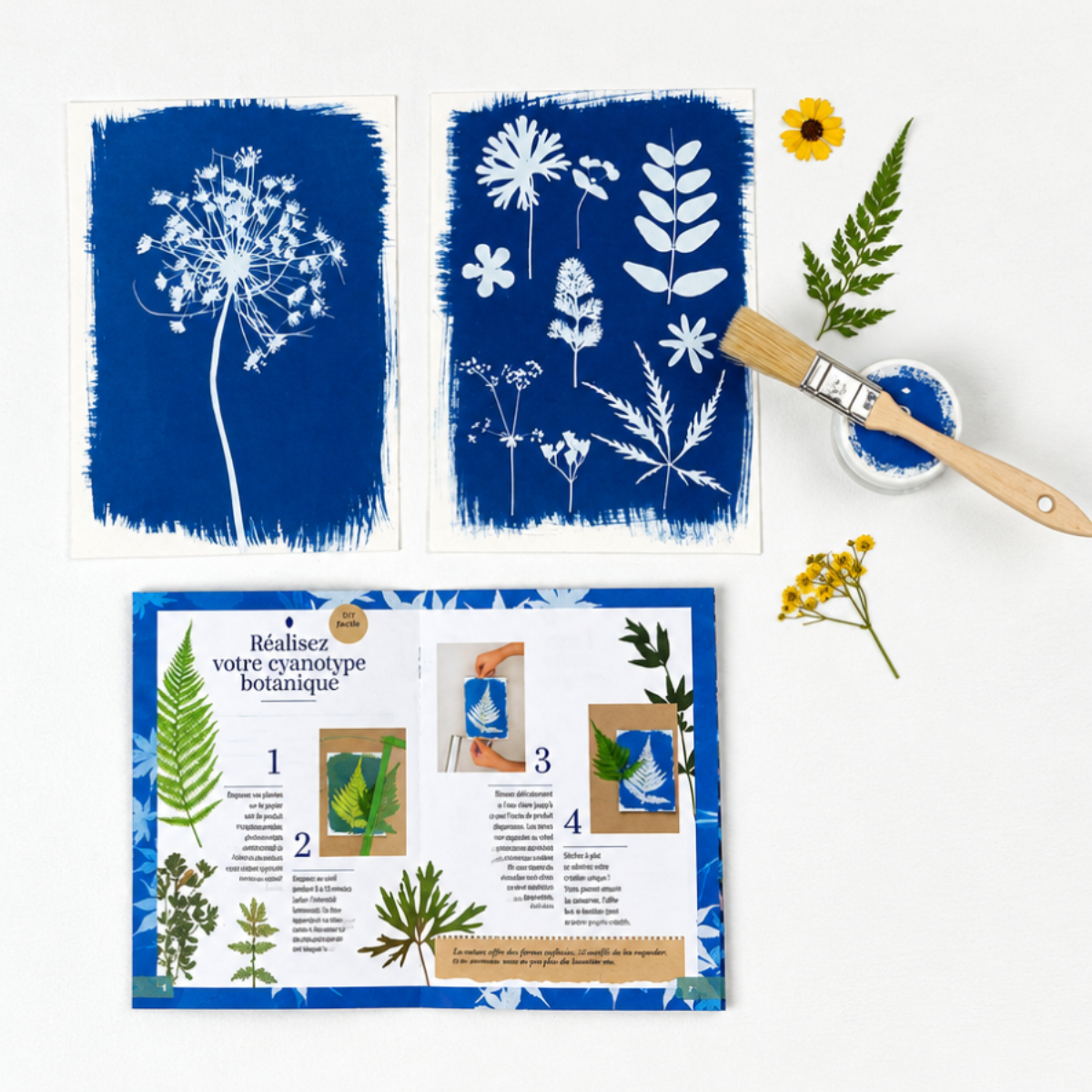 Clairefontaine Cyanotype Discovery Kit