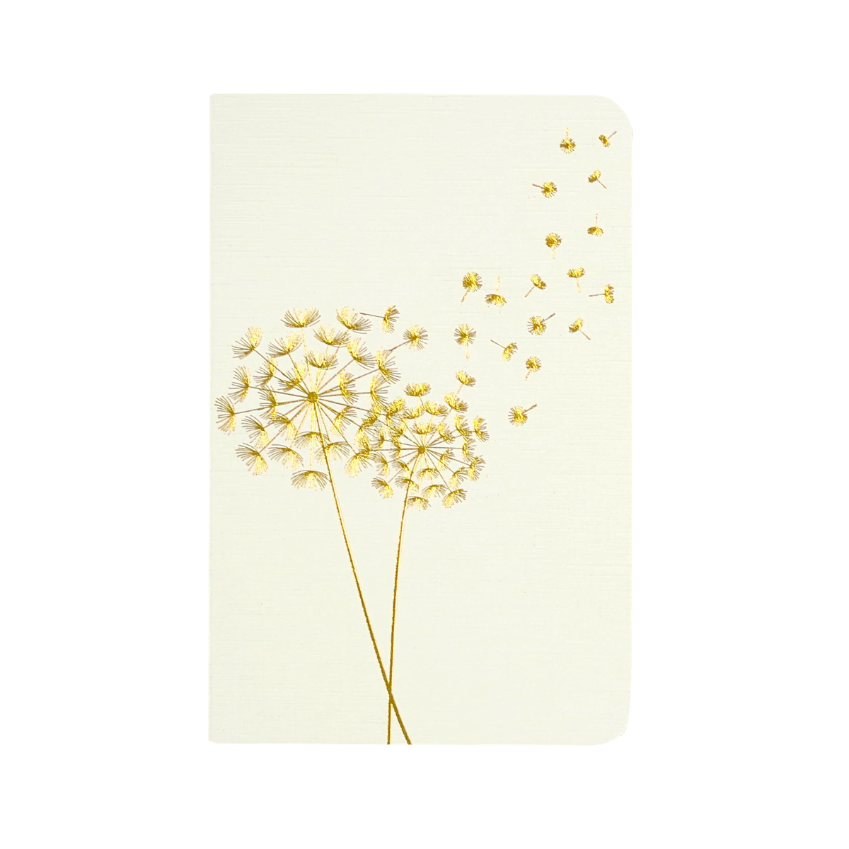 Jotter Mini Notebook Set - Dandelion Wishes