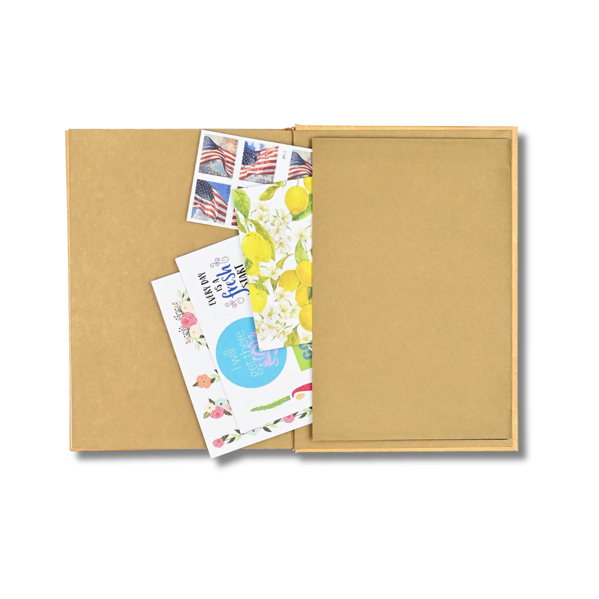 Antique Magnolia Journal B6