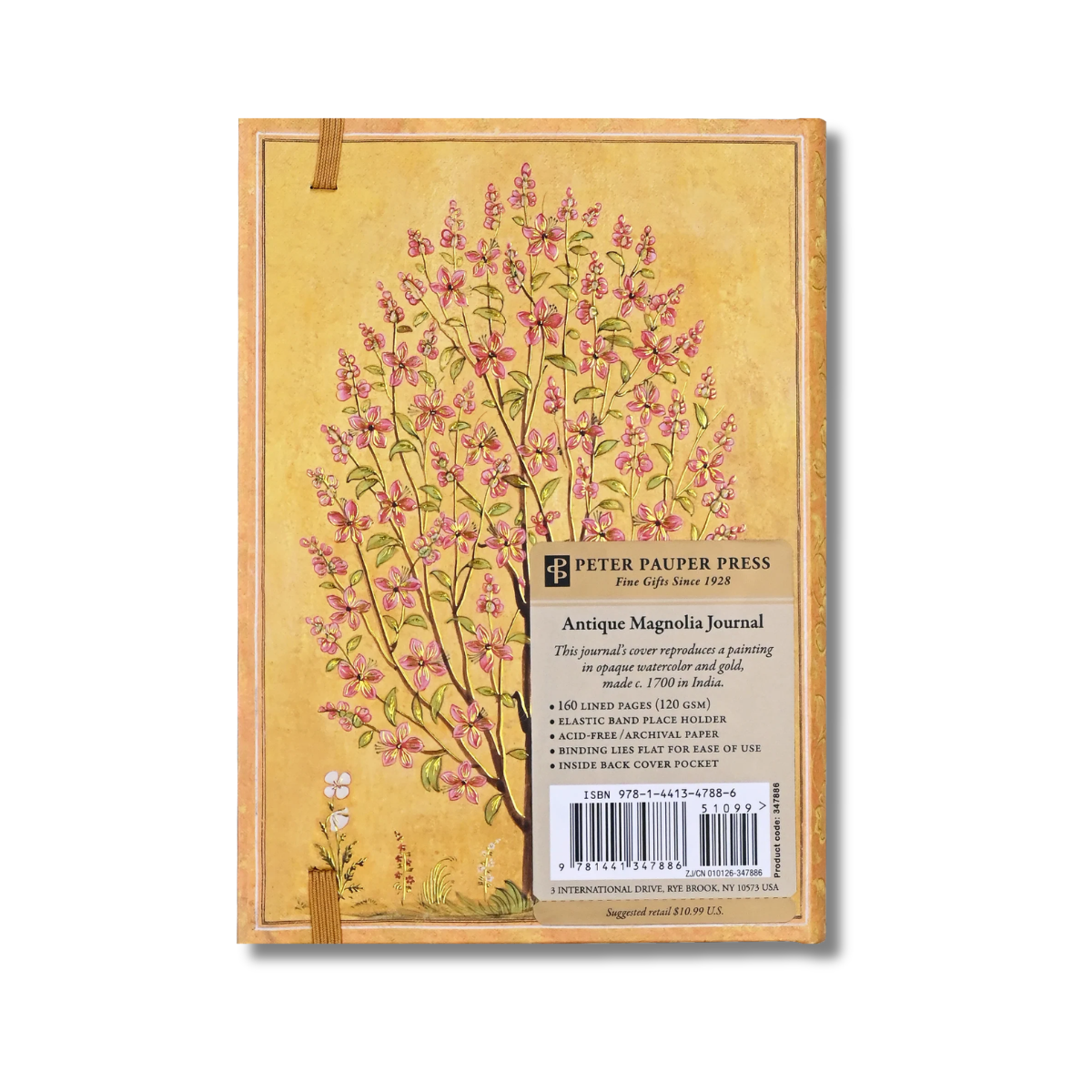 Antique Magnolia Journal B6
