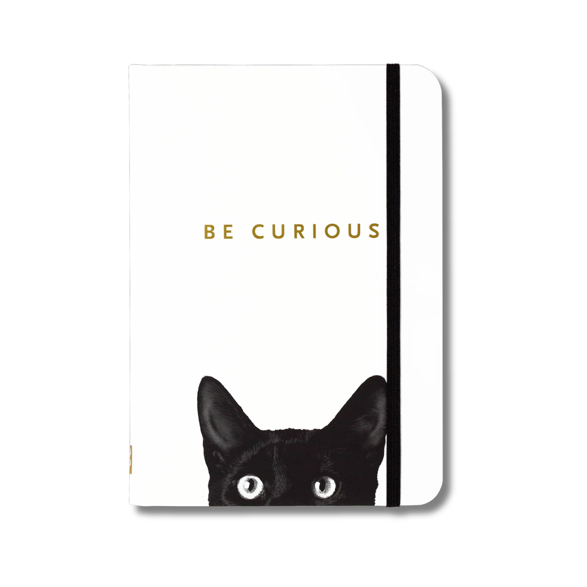 Curious Cat Journal