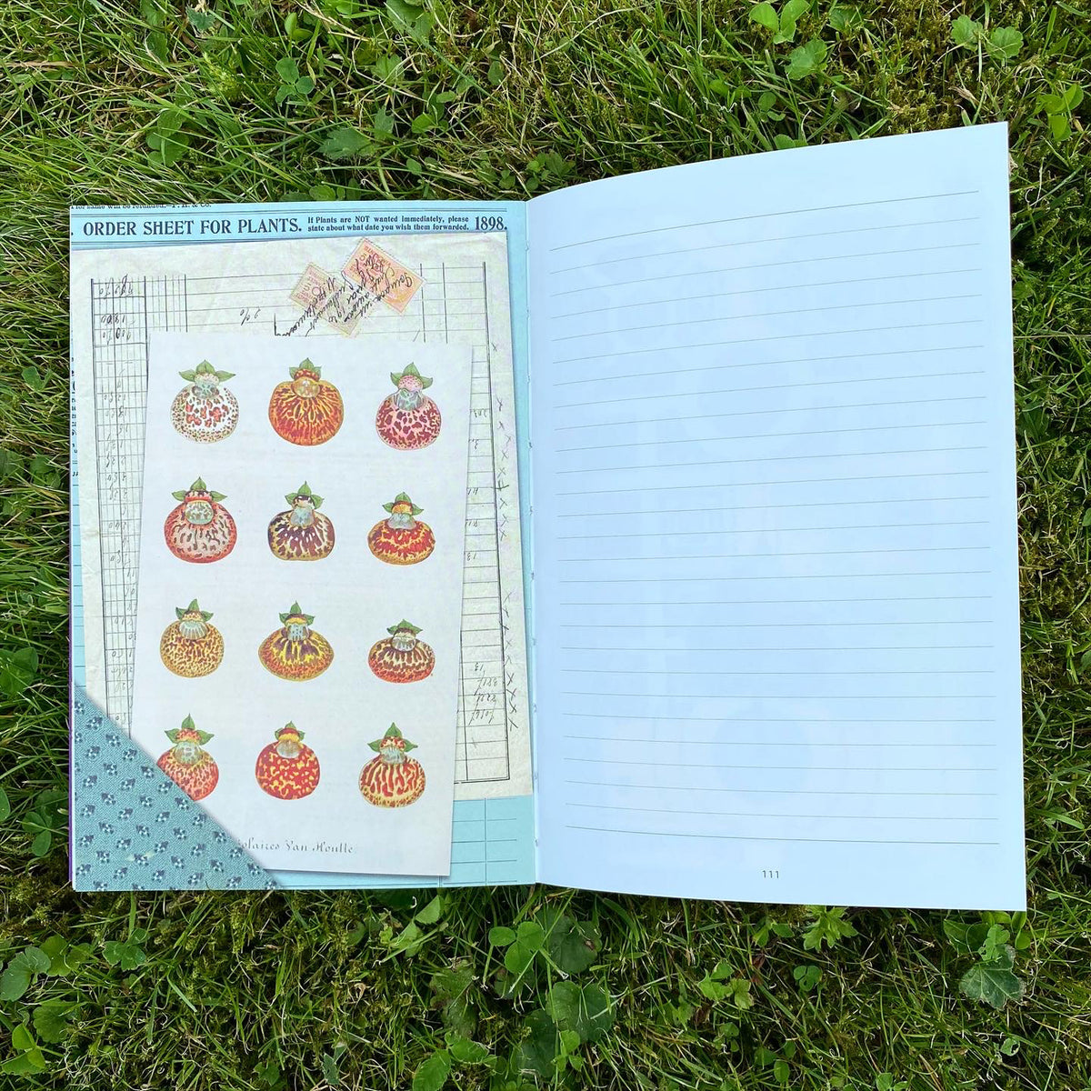 Open notebook with stickers on a grassy background