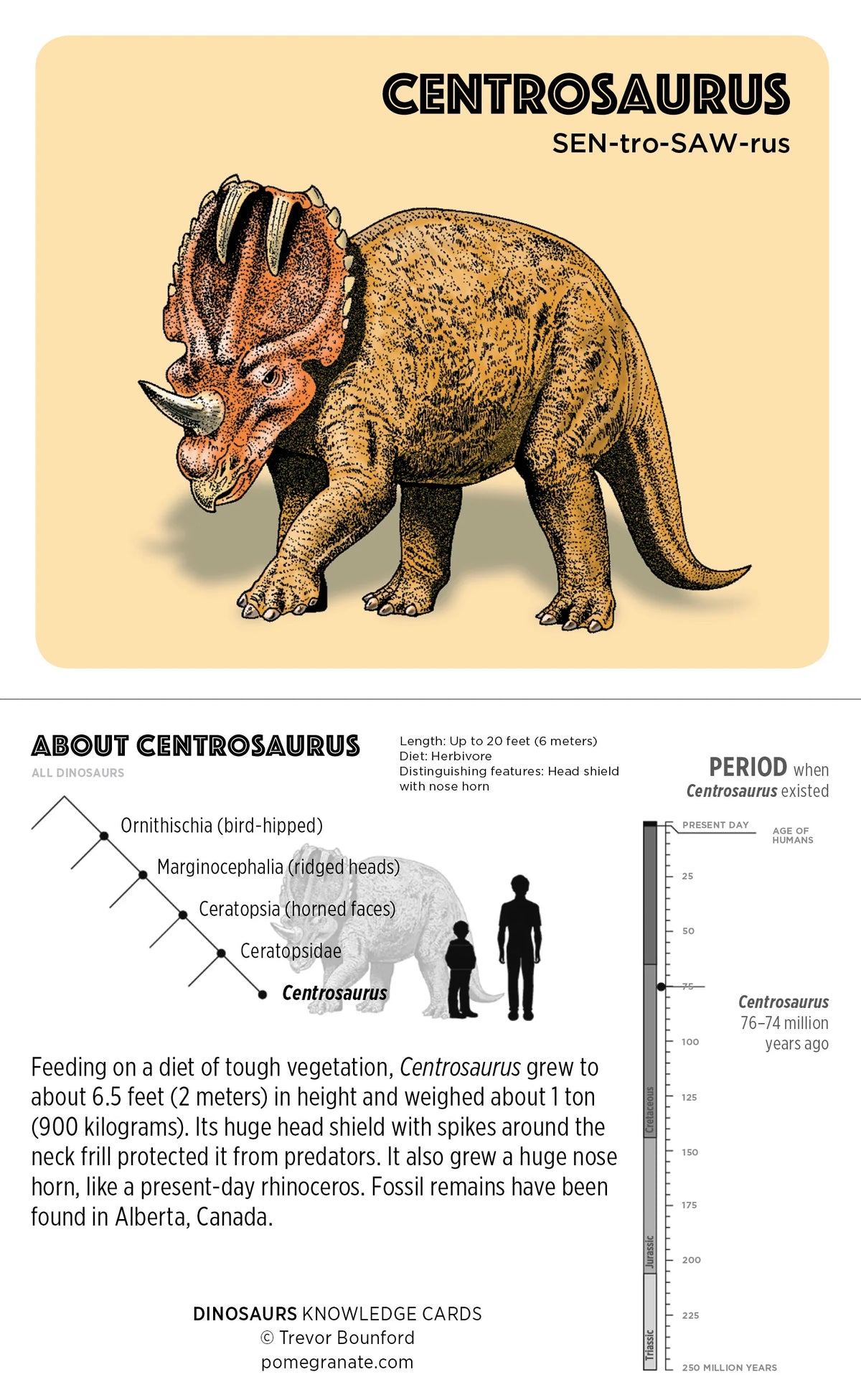 Pomegranate Dinosaur Knowledge Cards