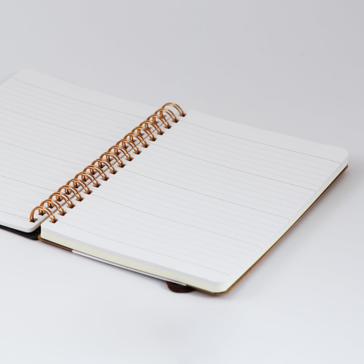 an open B6 Grain Notebook showing the lined Midori pages in the front section