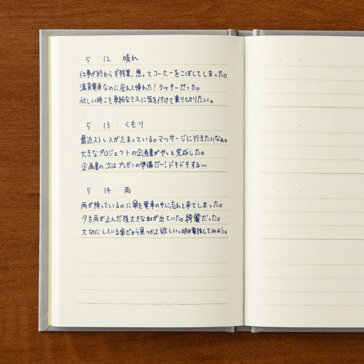 Midori 3 Minute Diary