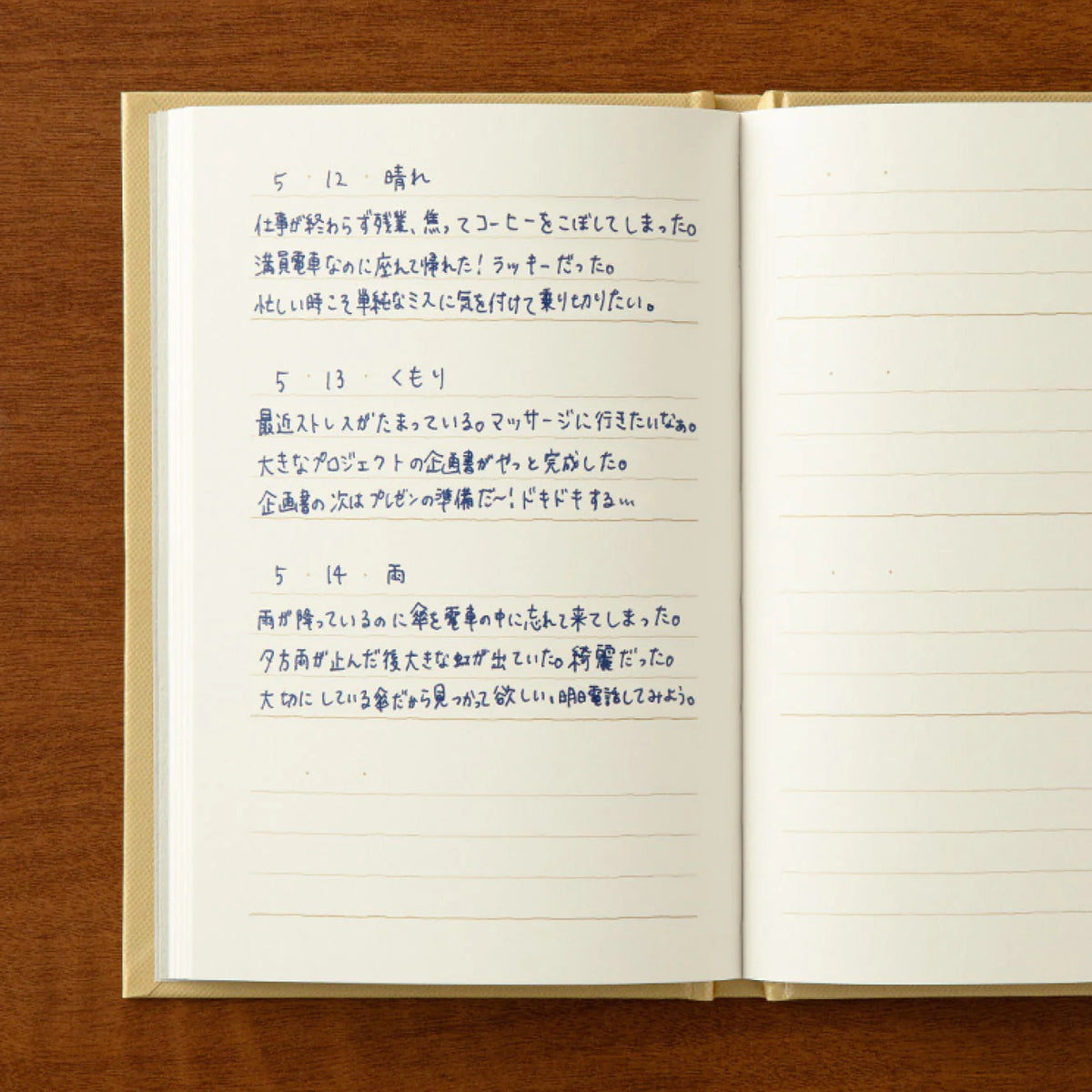 Midori 3 Minute Diary