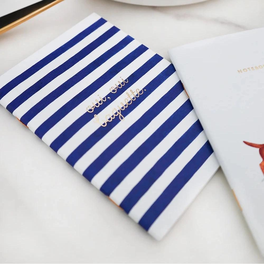 Blue and white striped notebook with a white book on a light surface, with a plate of food in the background.