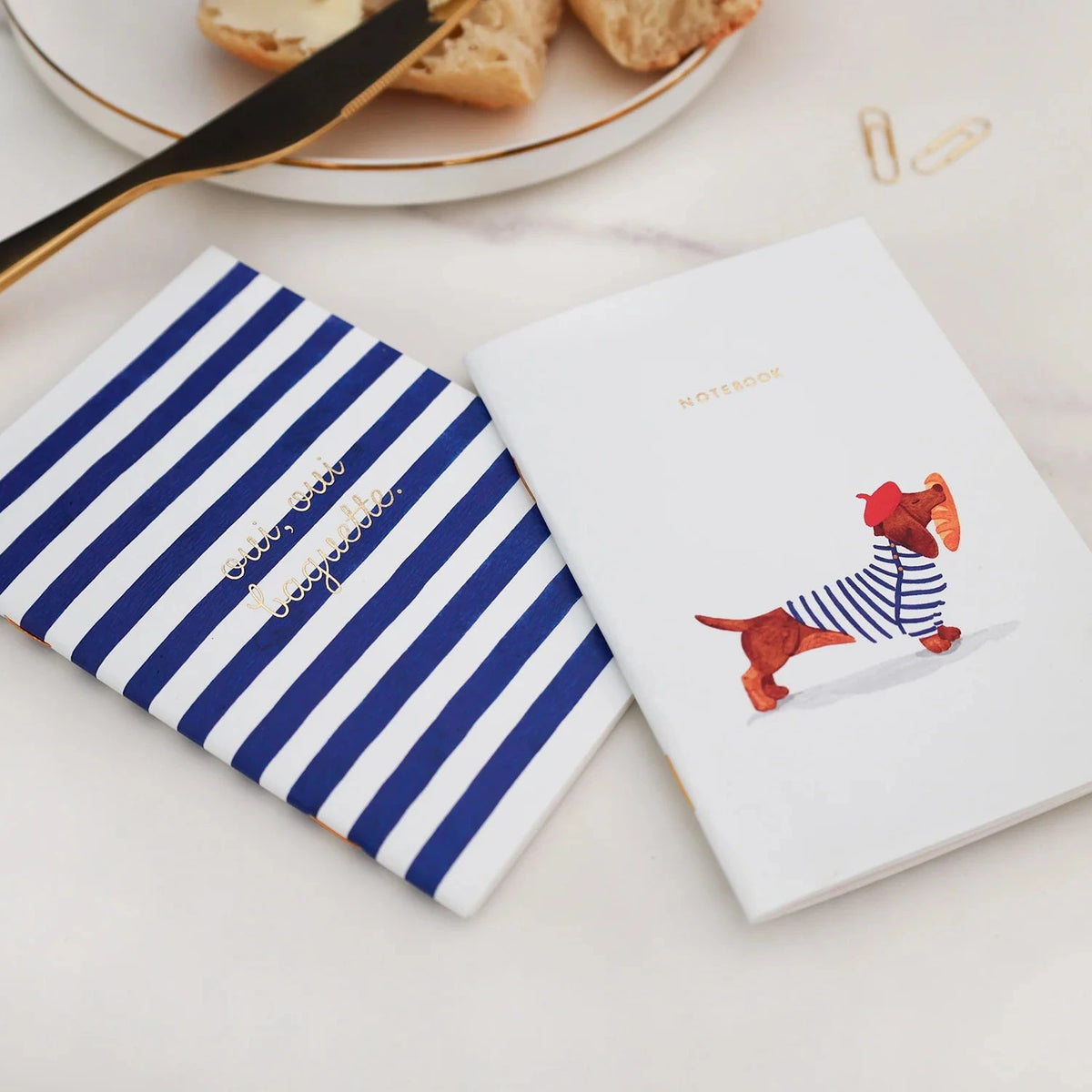 Two small books or notebooks on a white surface with a striped cover and one featuring a dog illustration.