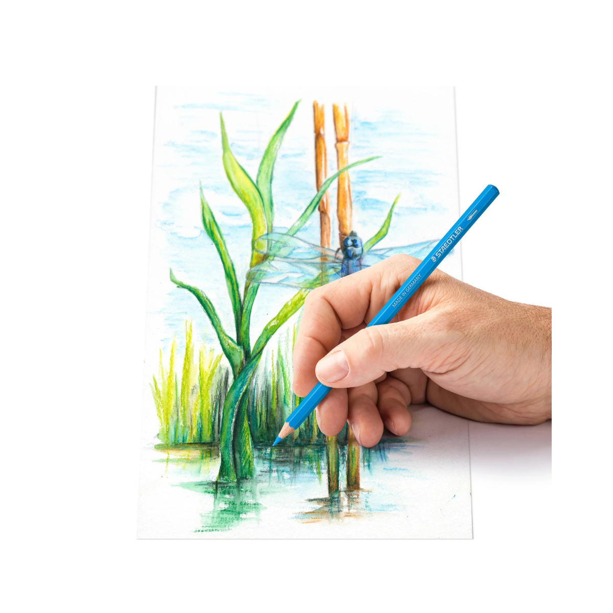 STAEDTLER Watercolour Pencils Set of 12