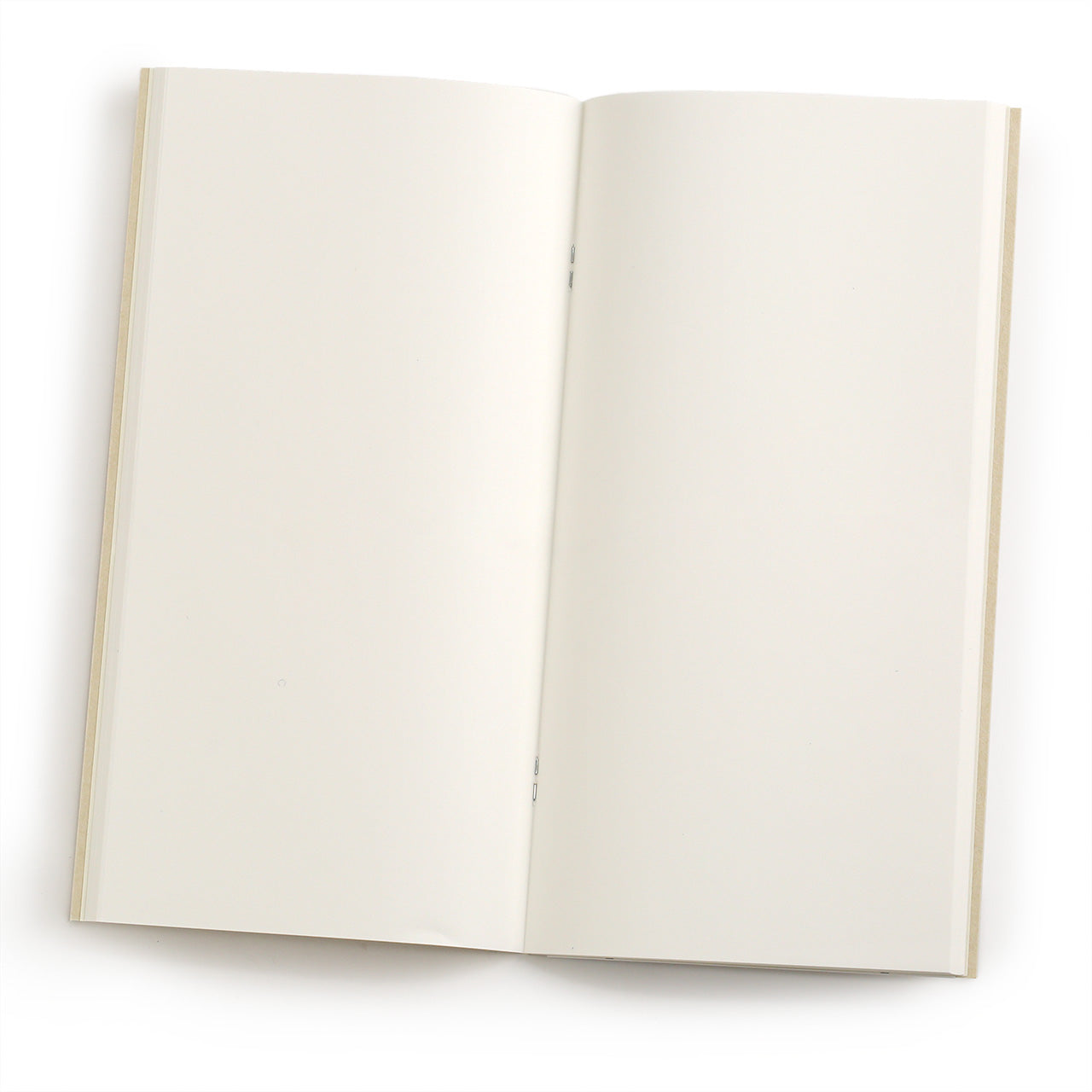 013 lightweight paper refill for regular traveler's notebook, showing the oatmeal coloured cover and olive green 013 label