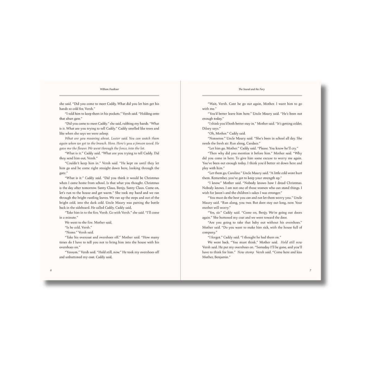 The Sound and the Fury by William Faulkner
