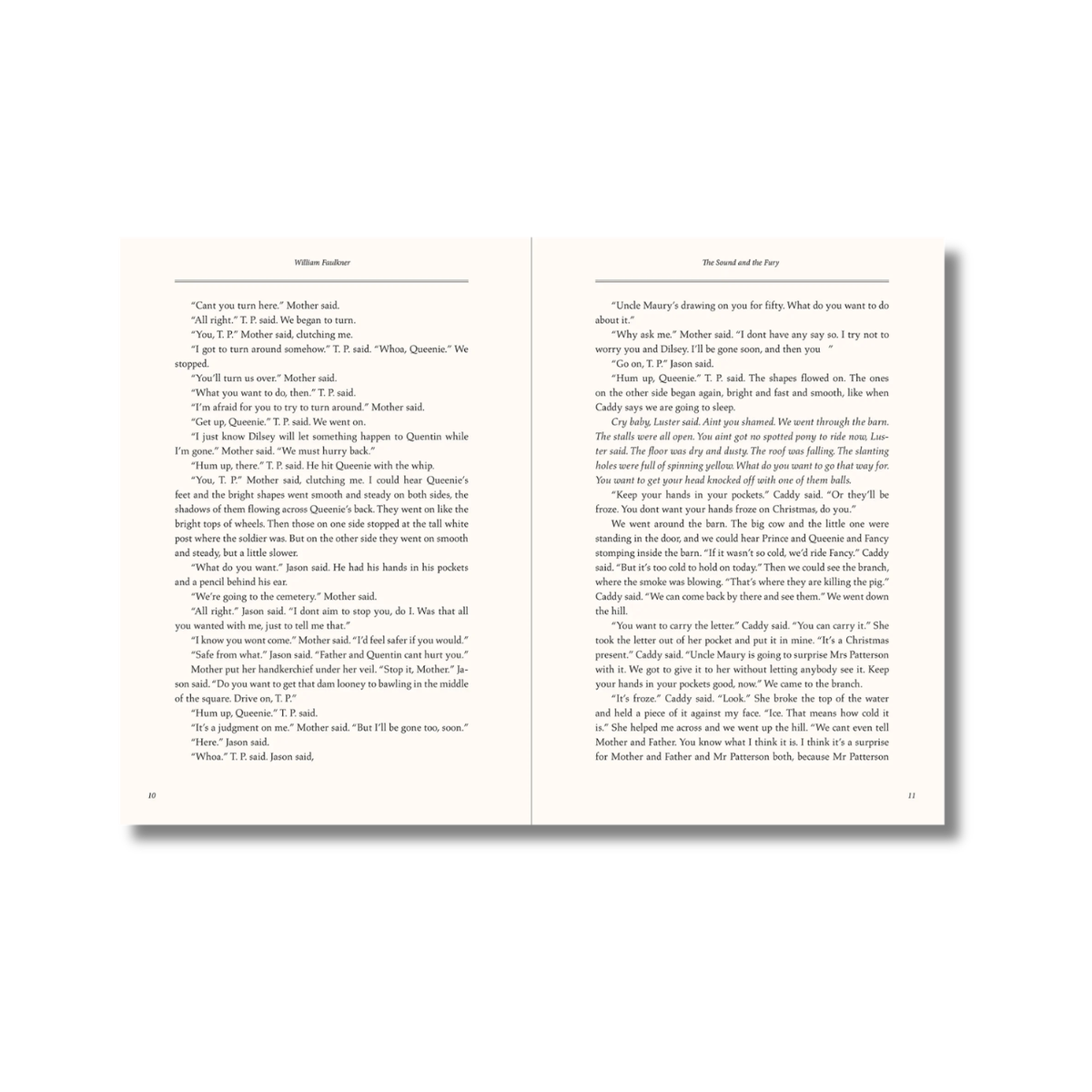 The Sound and the Fury by William Faulkner