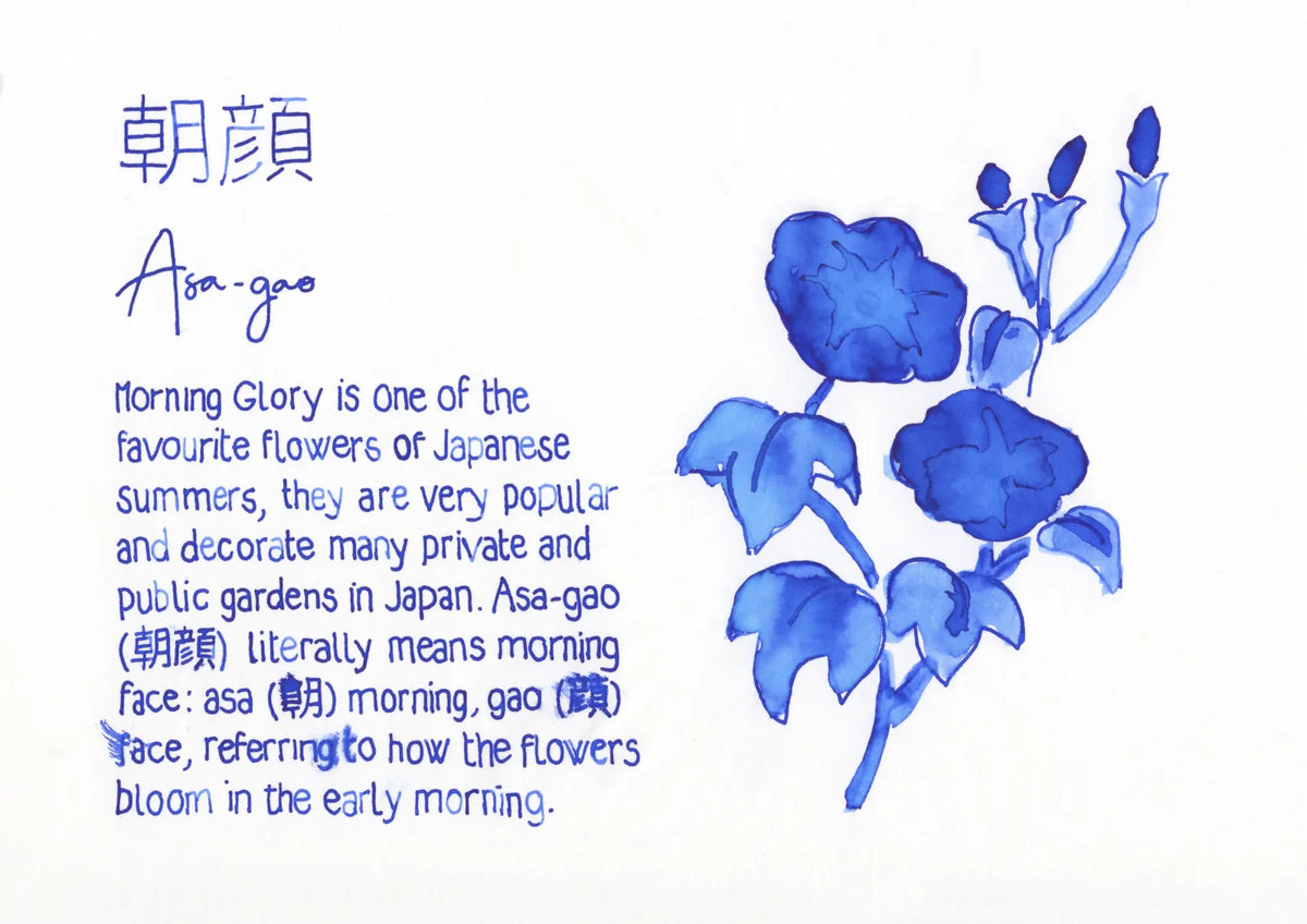 Pilot iroshizuku Fountain Pen Ink 15ml - Asa-gao