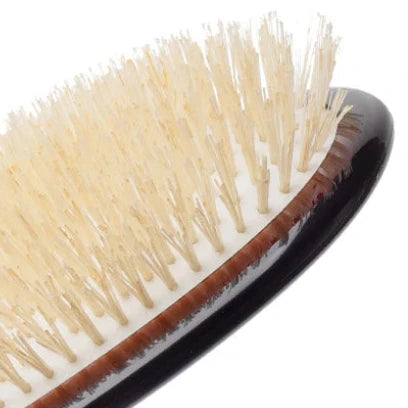 Hairbrush with bristles on a white background