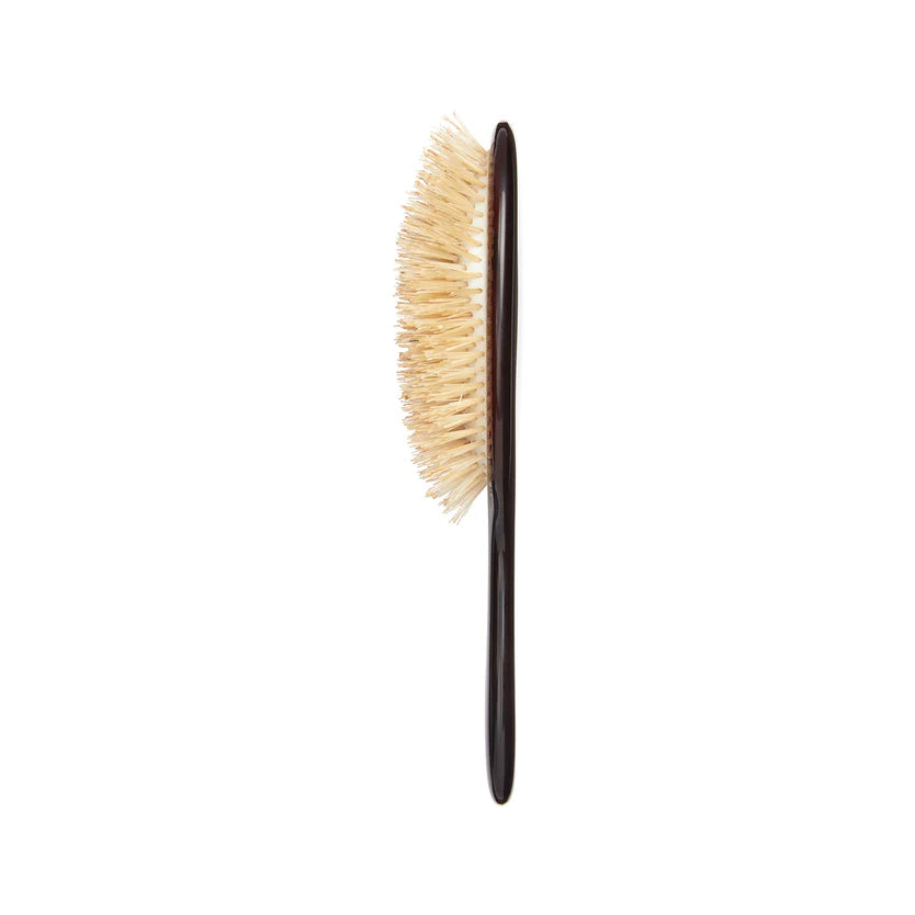 Hairbrush with bristle head and black handle on a white background
