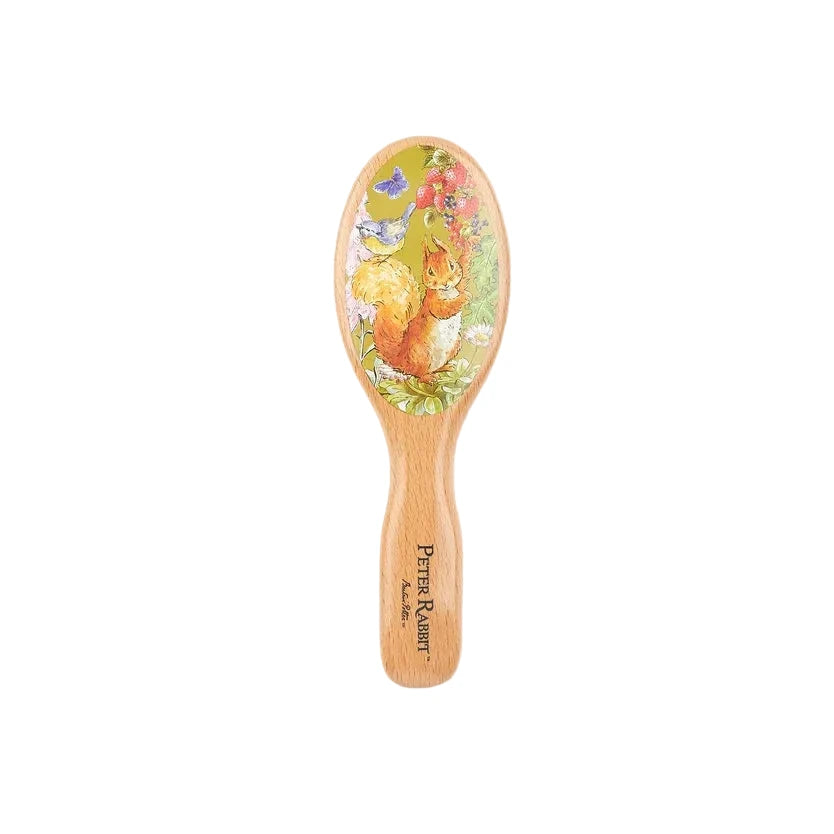 A wooden hairbrush with a colorful illustration of a squirrel, flowers, and butterflies on the oval head, and the brand name 'Pina's Master' printed on the handle, shown against a light gray background.