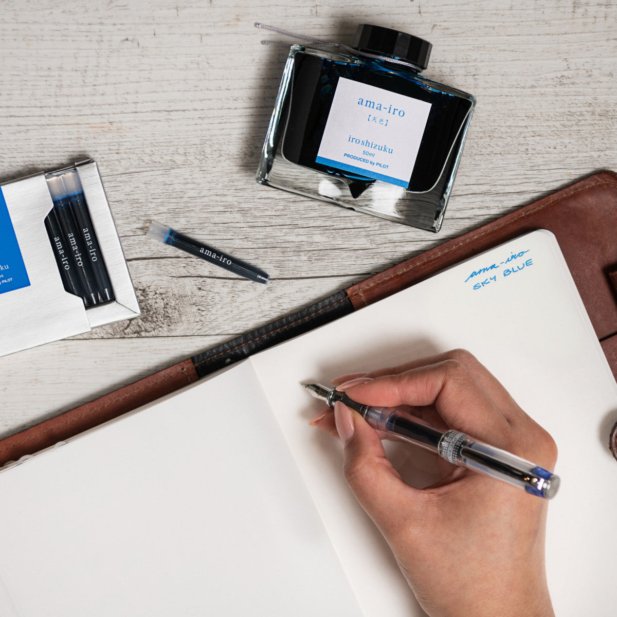 Pilot iroshizuku Fountain Pen Ink Cartridge - Ama-iro