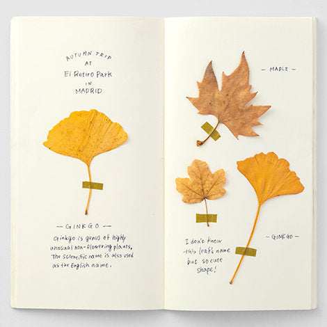 An example spread where a 025 cream paper refill has notes and autumn leaves pasted as a vacation memory