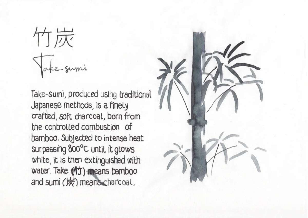 Pilot iroshizuku Fountain Pen Ink 15ml - Take-sumi