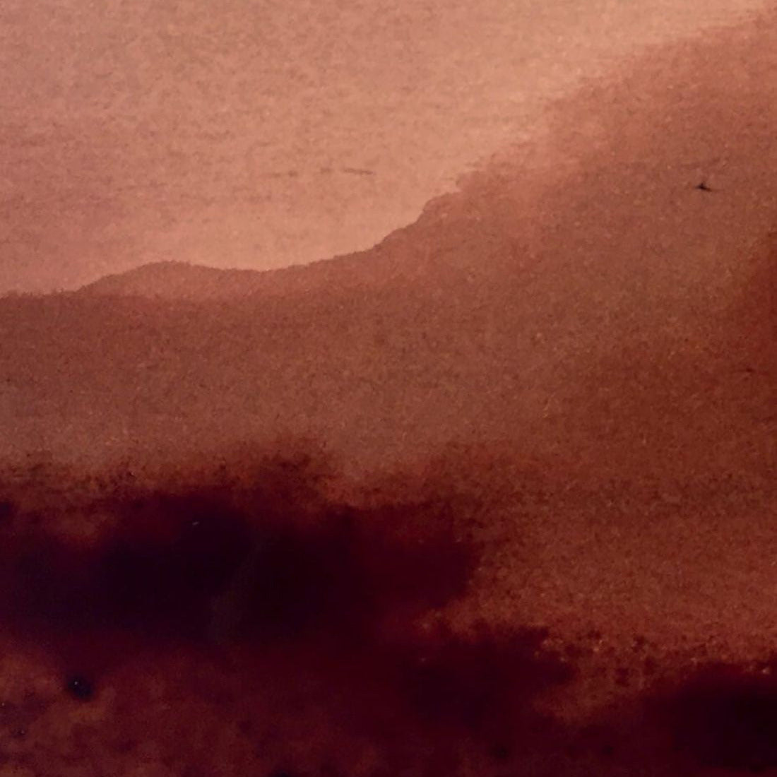 Hazy landscape with mountains and trees in a reddish-brown color palette
